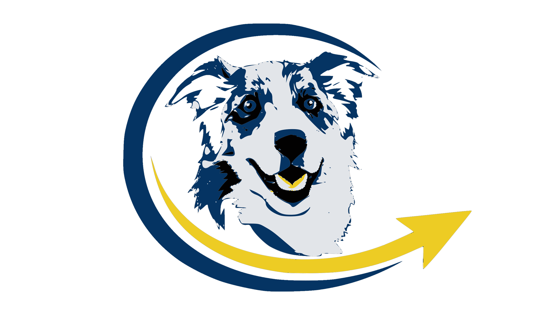 Logo Terry Addestramento Cani
